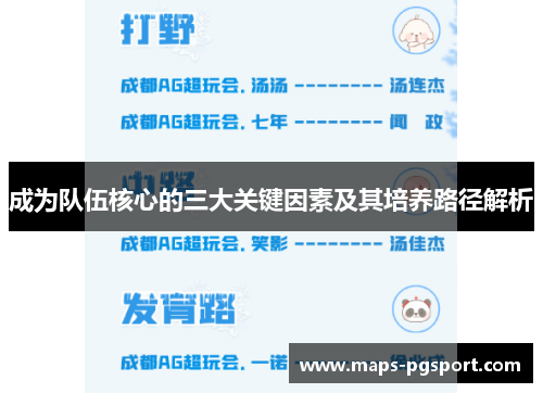 成为队伍核心的三大关键因素及其培养路径解析