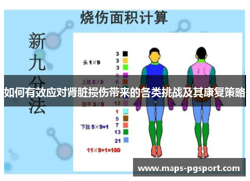 如何有效应对肾脏损伤带来的各类挑战及其康复策略