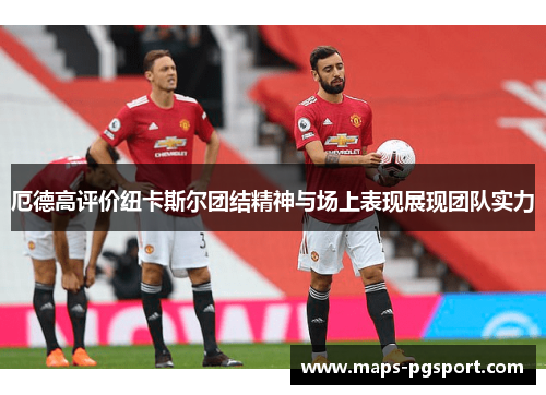 厄德高评价纽卡斯尔团结精神与场上表现展现团队实力