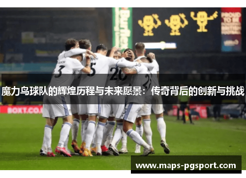 魔力鸟球队的辉煌历程与未来愿景：传奇背后的创新与挑战