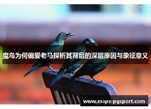 魔鸟为何偏爱老马探析其背后的深层原因与象征意义