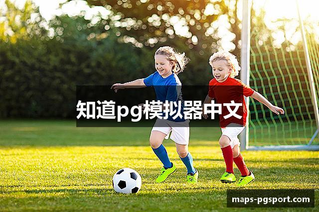 知道pg模拟器中文